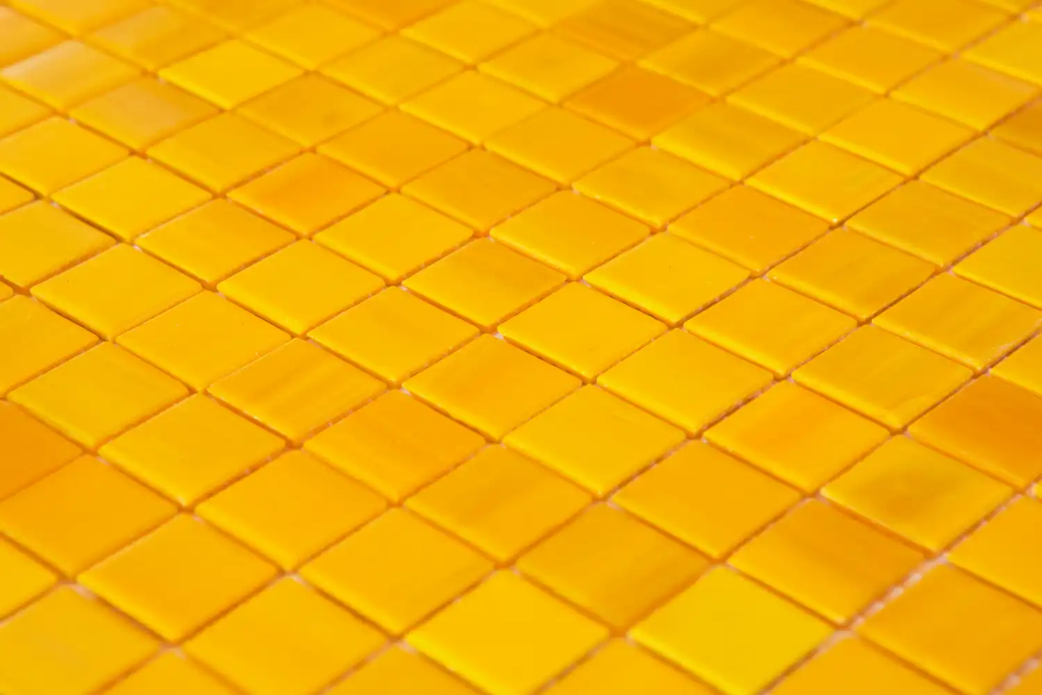 Élite Unicolor 20 Girasole 20 4
